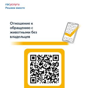 Отношение к обращению с животными без владельцев