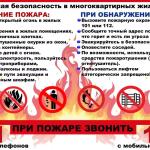 Фотодокумент 