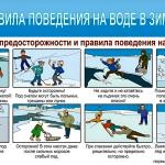 Фотодокумент 