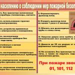 Фотодокумент 